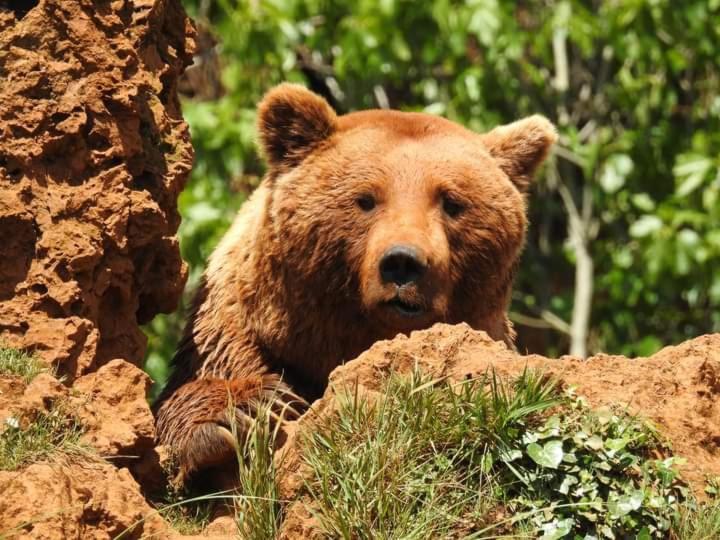 Los Rosales Ampuero Dış mekan fotoğraf